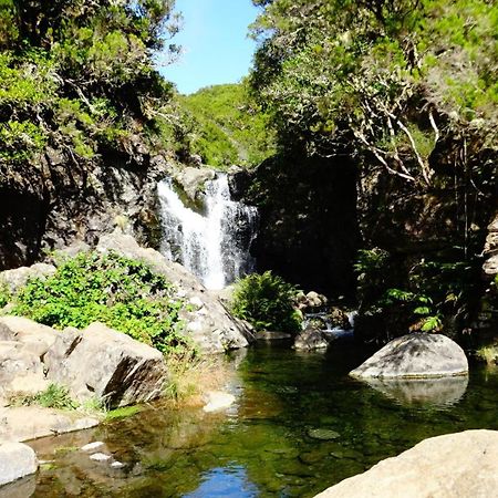 Stay In Madeira Фуншал Стая снимка