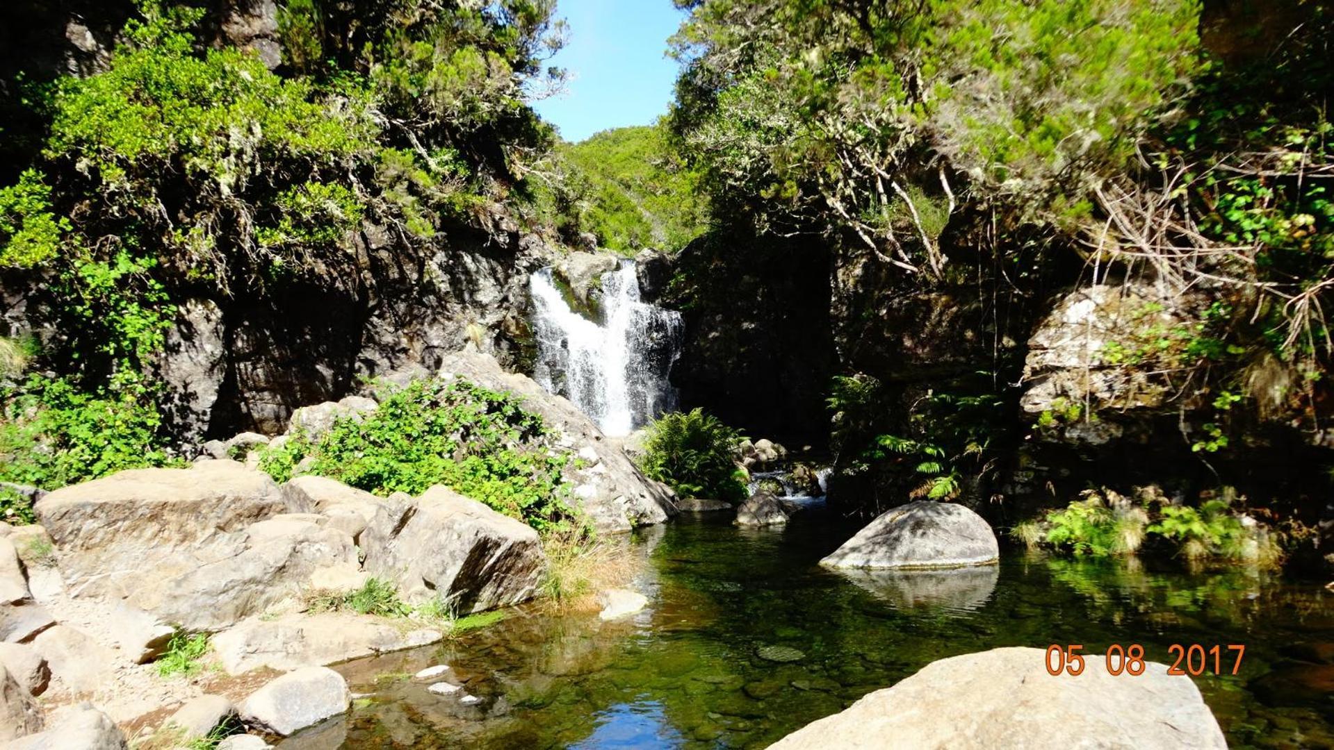 Stay In Madeira Фуншал Стая снимка